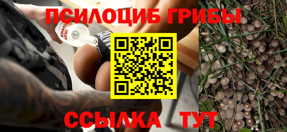 Галлюциногенные грибы Magic Shrooms Тихорецк