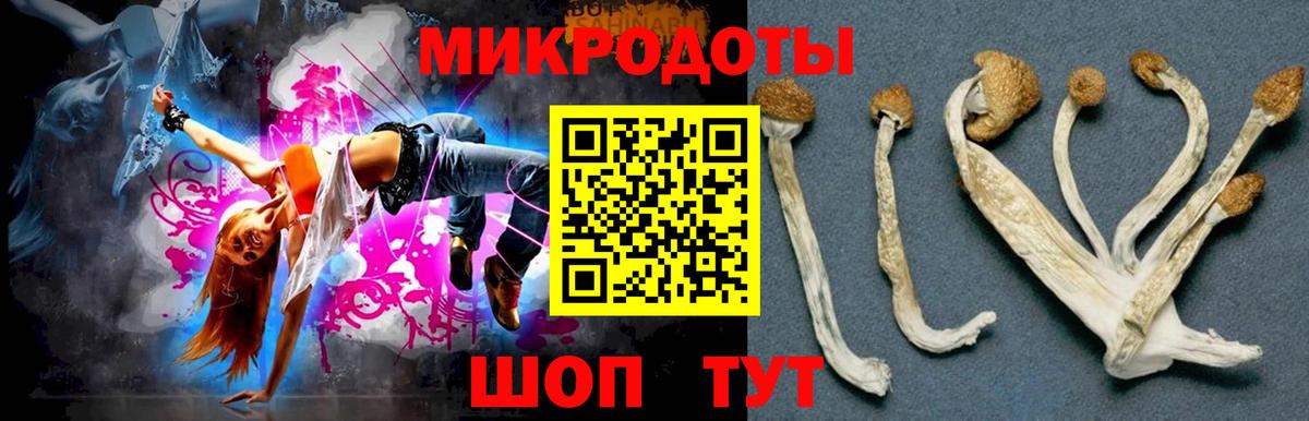 Тихорецк  Псилоцибиновые грибы прущие грибы  Вход с VPN 